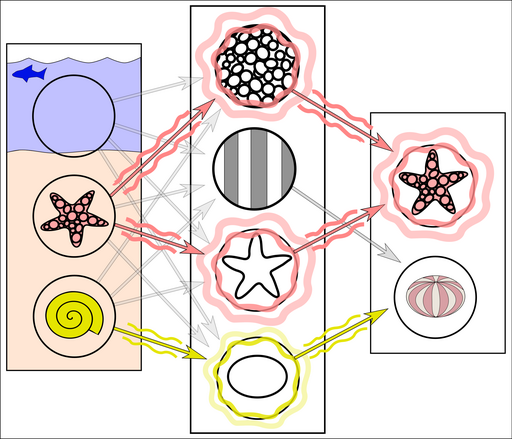 Réseau de neurones pour une image